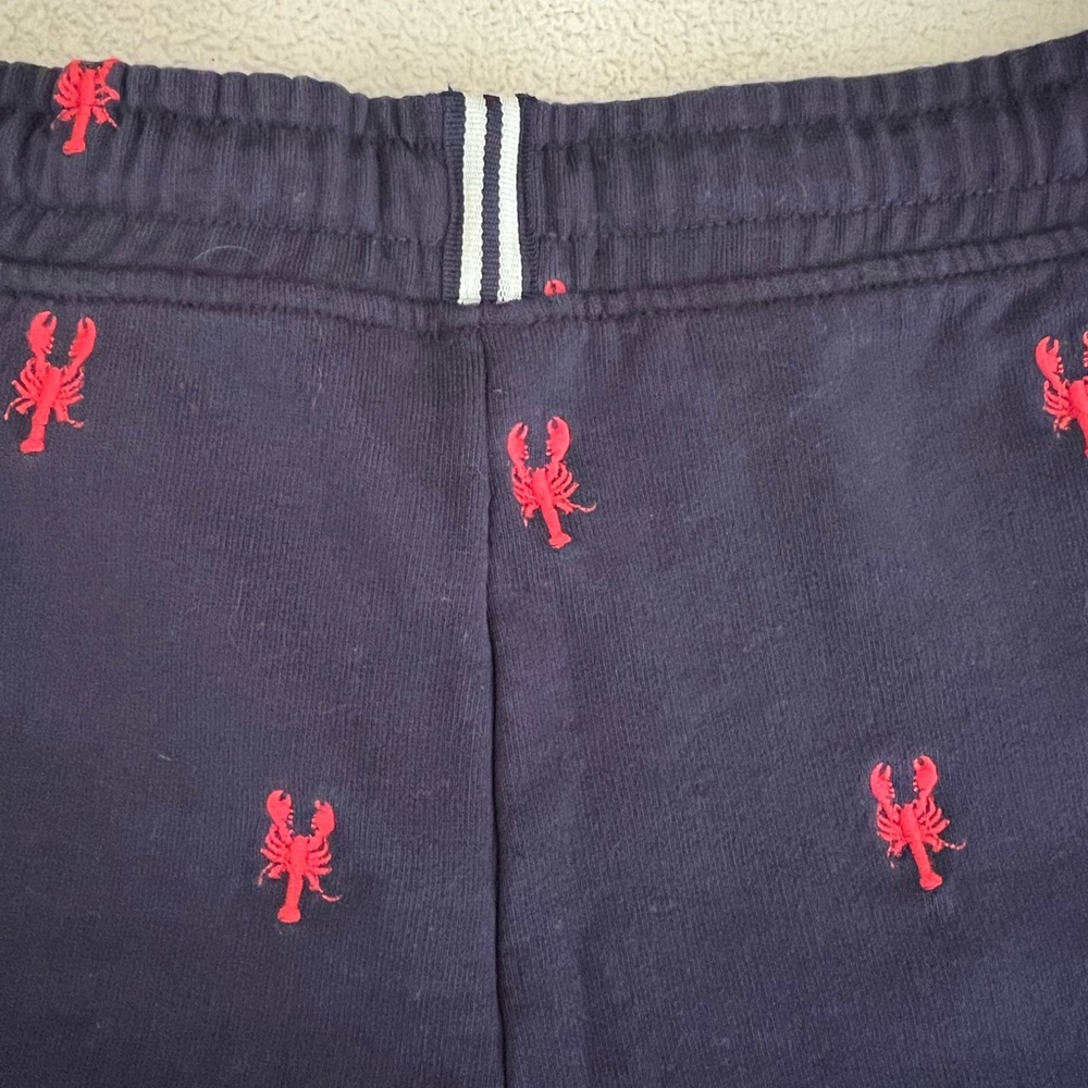 Joules Navy Shorts with Red Accents